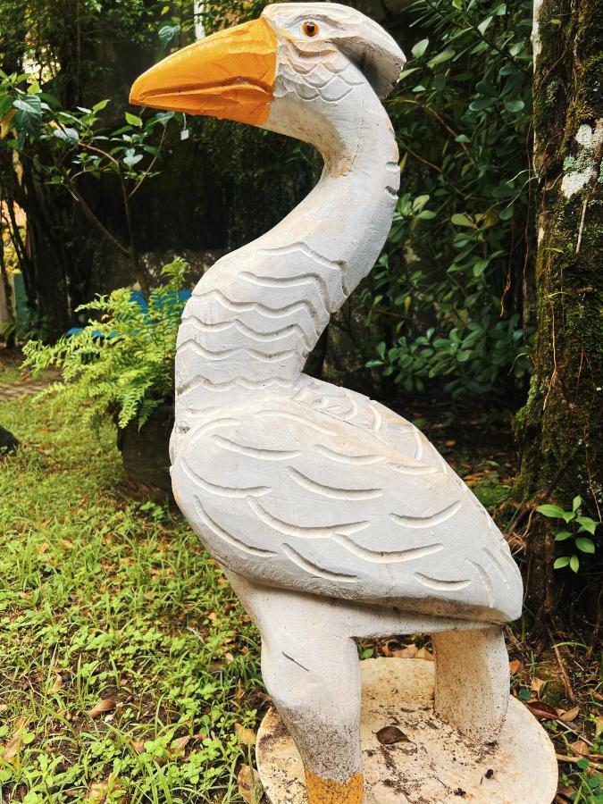 Pousada Chez Soleil Cibratei Itanhaem Ngoại thất bức ảnh